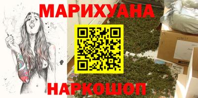 сатива Кингисепп