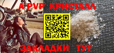 сатива Кингисепп